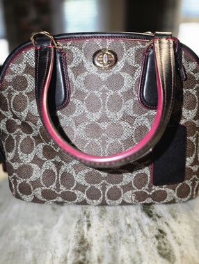 Coach Prince St Mini Satchel/Crossbody